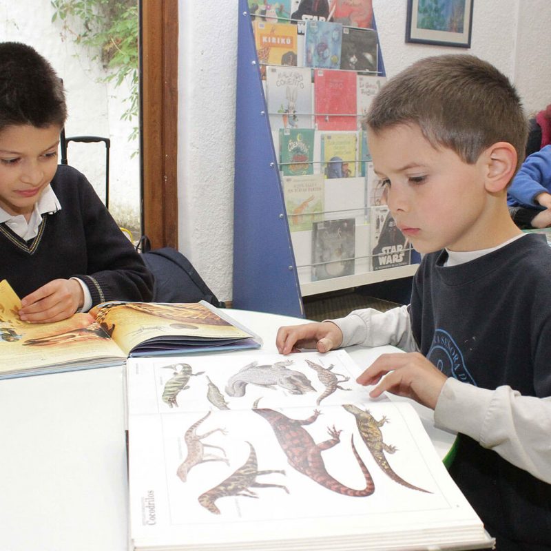 biblioteca-IMG_8733