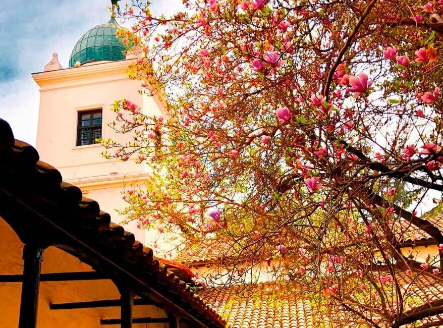 Centro-patrimonial-Los-Dominicos-02