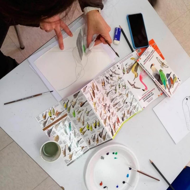 taller-de-acuarela-1_20220802