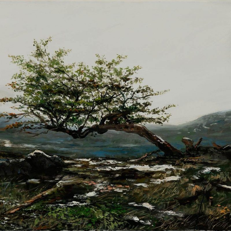 Árbol Navarino_60x80cm_PNC_2084_95