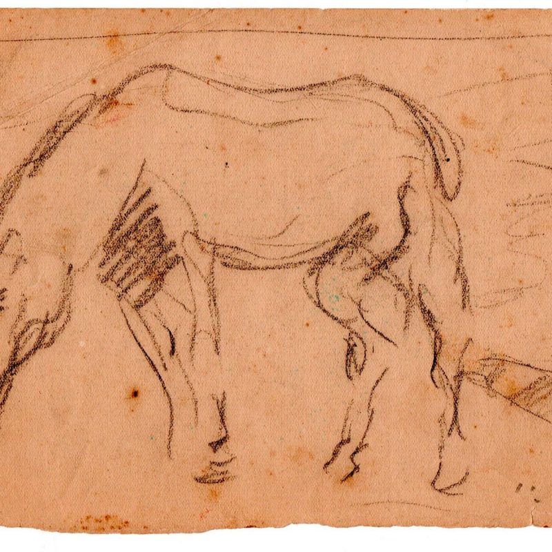 139 Caballo - Boceto sd 15,5x23cm