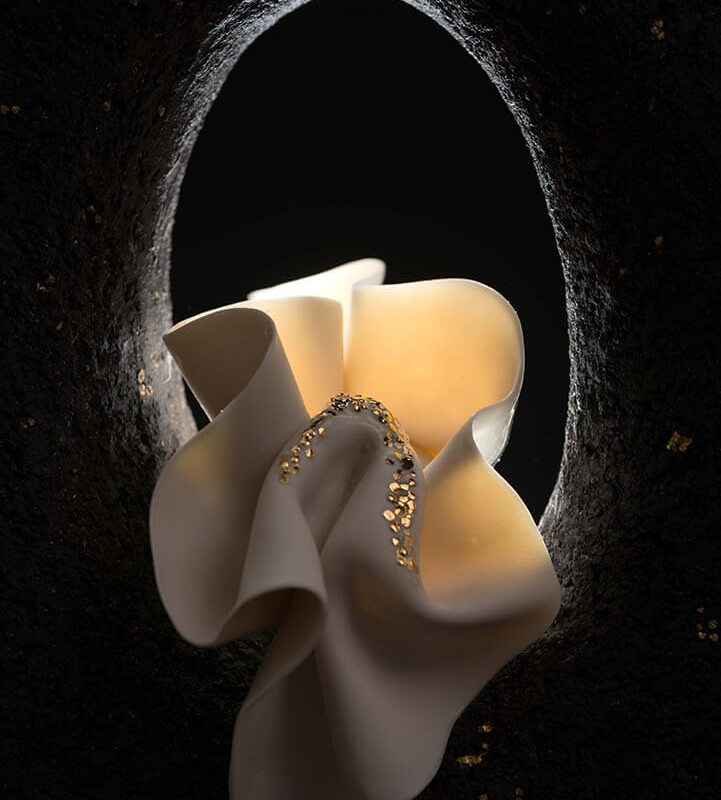 Detalle-de-Universo-protector-V