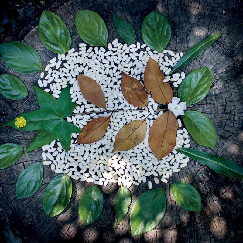 land-art-octavio_20231211